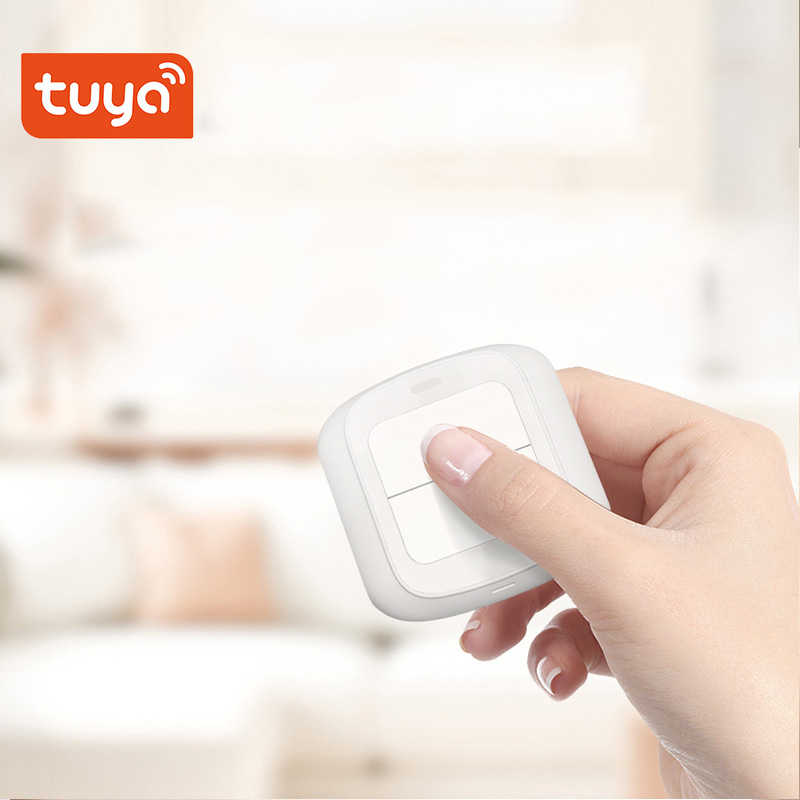 Tuya Zigbee WiFi Smart Switch  - Home Automation Technology recension och pris