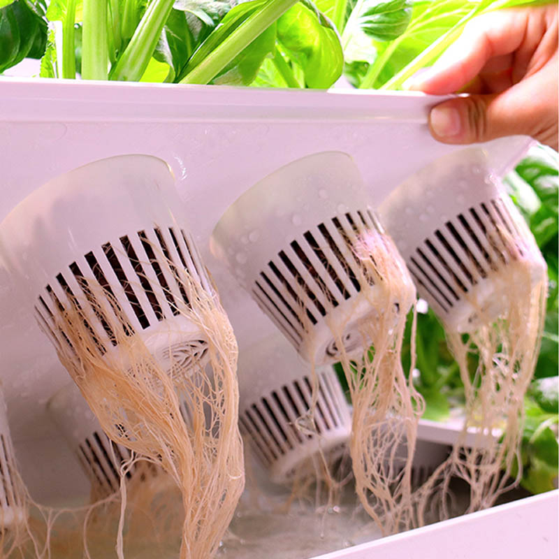 ydroponic Planting System Smar - Home Automation Systems Diy recension och pris