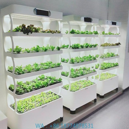 Hydroponic Automated Grow Syst - Home Automation Systems Diy recension och pris